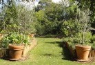 Whitfield QLDvegetable-gardens-3.jpg; ?>